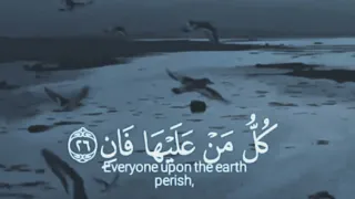 كل من عليها فان حالة واتساب 