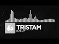 Download Lagu [Electronic] - Tristam - Bone Dry