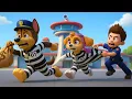 Lagu CHASE Y SKYE escapan con todo el dinero - RYDER enojado - PAw PaTrol en Español | Rainbow 3