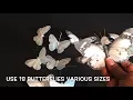 Butterfly Mask Victoria Yvette