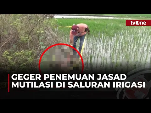 Penemuan Jasad Mutilasi di Saluran Irigasi
