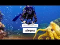 Download Lagu SIRENS | Scuba and Freediving Moyo, Sumbawa, Sangeang and Komodo in Indonesia on the MV Mermaid II