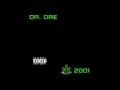 Dr  Dre - The Next Episode (Instrumental)