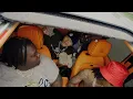 Download Lagu Himothy Chung - 4 for 4 Ft. Headhuncho Amir, Zeethewizard, \u0026 Bizzzythahustla (Official Music Video)