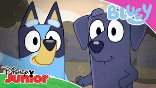 camping day bluey disney junior mena