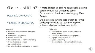 MVP 2 PROJ JOÃO