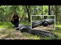 GATOR TAIL ATTACK