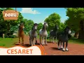 Cesaret Doru 20 Bolum