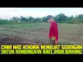 Download Lagu PETANI PEDATANG DARI MALANG YANG MENEMPAT DI TRASMIGRASI