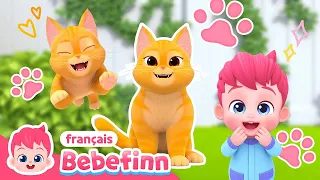 La Chanson du Chat Je Suis Un Chat Roux Chanter avec Bebefinn Chansons pour Enfants