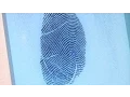 School Fingerprints - 3News