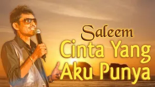 saleem cinta yang aku punya video lirik