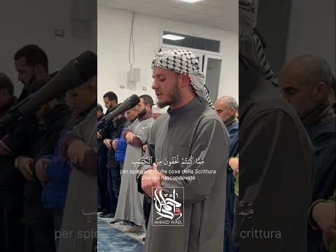 قد جائكم من الله نور | #أحمد_وائل #اكسبلور #المصحف #ترند