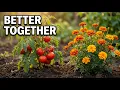 The Companion Planting Chart Is Half Wrong Here s the Real Science