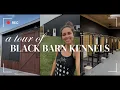 Black Barn Kennels Tour Dog Boarding Facility