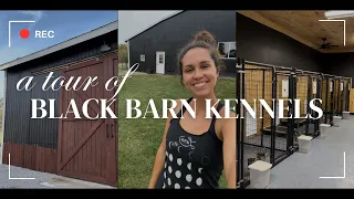 Black Barn Kennels Tour Dog Boarding Facility