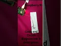 Raspberry Pi LED blinking