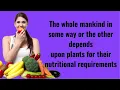 5 REASONS WHY PHOTOSYNTHESIS IS IMPORTANT II SUGAR TV