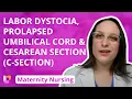 Labor Dystocia Prolapsed Umbilical Cord Cesarean Section - Maternity Nursing LevelUpRN