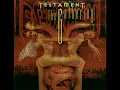 Testament - Down for Life