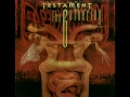 Download Lagu Testament - Down for Life
