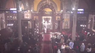 بث مباشر صلاة القداس الالهي الاحد 2 مارس 2025 كنيسة مارمرقس 