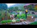 EPIC Off-Grid Harvest: Pick → Sell → Cook! REAL Farm to Table Living