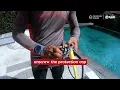 Download Lagu PADI Open Water Course Skills - Equipment assembly.