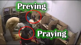 Watching phone scammers for TWO YEARS and forcing them to leave their offices!
