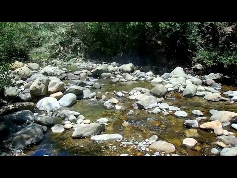 YouTube player