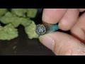 Skywalker OG Finally sauget dispensary
