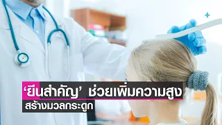 ยีน gpr 126 มีบทบาทอย่างไรต่อความสูงและมวลกระดูกของร่างกาย