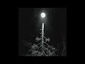 Tracks in the Pines/Eyes in the Dark