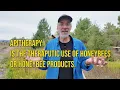 Bee Huts: Breathe the Beehive Air (Apitherapy Explained)