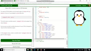Basic CSS Create a custom CSS Variable free code camp Dani
