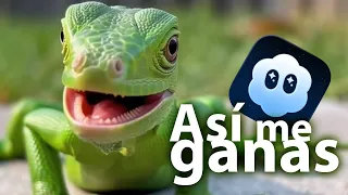 Así me ganas