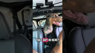 No mantis were harmed in this video 🤣🐾💜 . #fyp #dream #doberman #pets #youtube