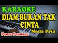 Lagu KARAOKE DIAM BUKAN TAK CINTA TERBAIK NADA PRIA/COWOK TERBARU