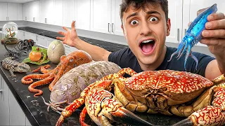 Cooking RARE Animals You've Never Seen Before!