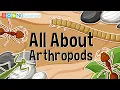 All About Arthropods