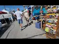 2025 TOUR SPRING HILL FARMERS MARKET FLEA MARKET - SPRING HILL FL LOCATED AT THE OLD WALMART