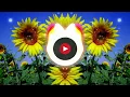 LANE 8 FEAT. ELDERBROOK - GRAPEVINE (sped up)
