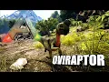Taming A Oviraptor Ark Survival Evolved The Island
