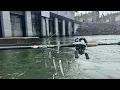 Striped Bass Dam Fishing Everything was Biting Multi species