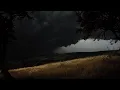 Ominous Thunderstorm Approaches you in Mountains Between two Trees Full Storm Rain 3 HOURS