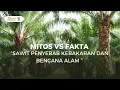 Download Lagu Mitos VS Fakta Sawit Penyebab Kebakaran dan Bencana Alam  - Salma D, Regita F \u0026 Ahza H (UGM 2024)