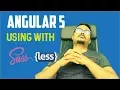 Angular 5 setup with SASS LESS preprocessor tutorial