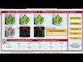 Grape Leaf Disease Detection Using CNN With Source Code Grape Plant Disease Detection Matlab Project