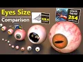 Eye Size Comparison Monster Eyes size comparison