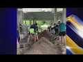 Penn State Shenango students spend spring break helping instead of partying